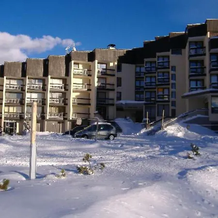 Skis Aux Pieds - 4 Pers - Balcon - Animaux Acceptes - Fr-1-445-85 Apartment *